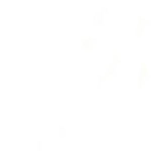 Meet your Posher, Joy